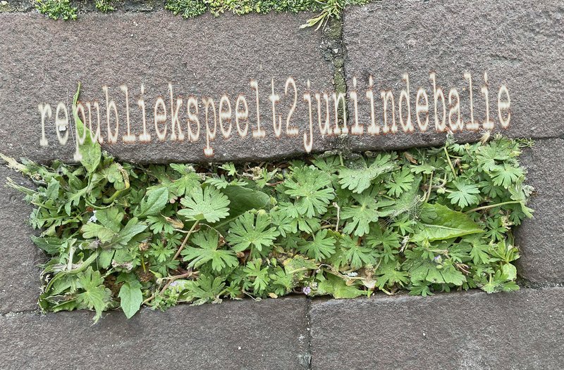 --republiek 2 juni 25